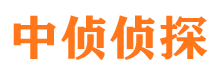 环江市调查公司